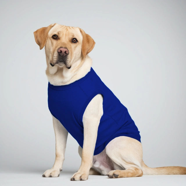 Coolest Doge Dog T-Shirt