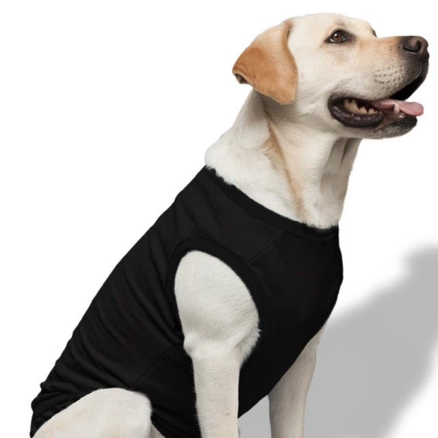Coolest Doge Dog T-Shirt