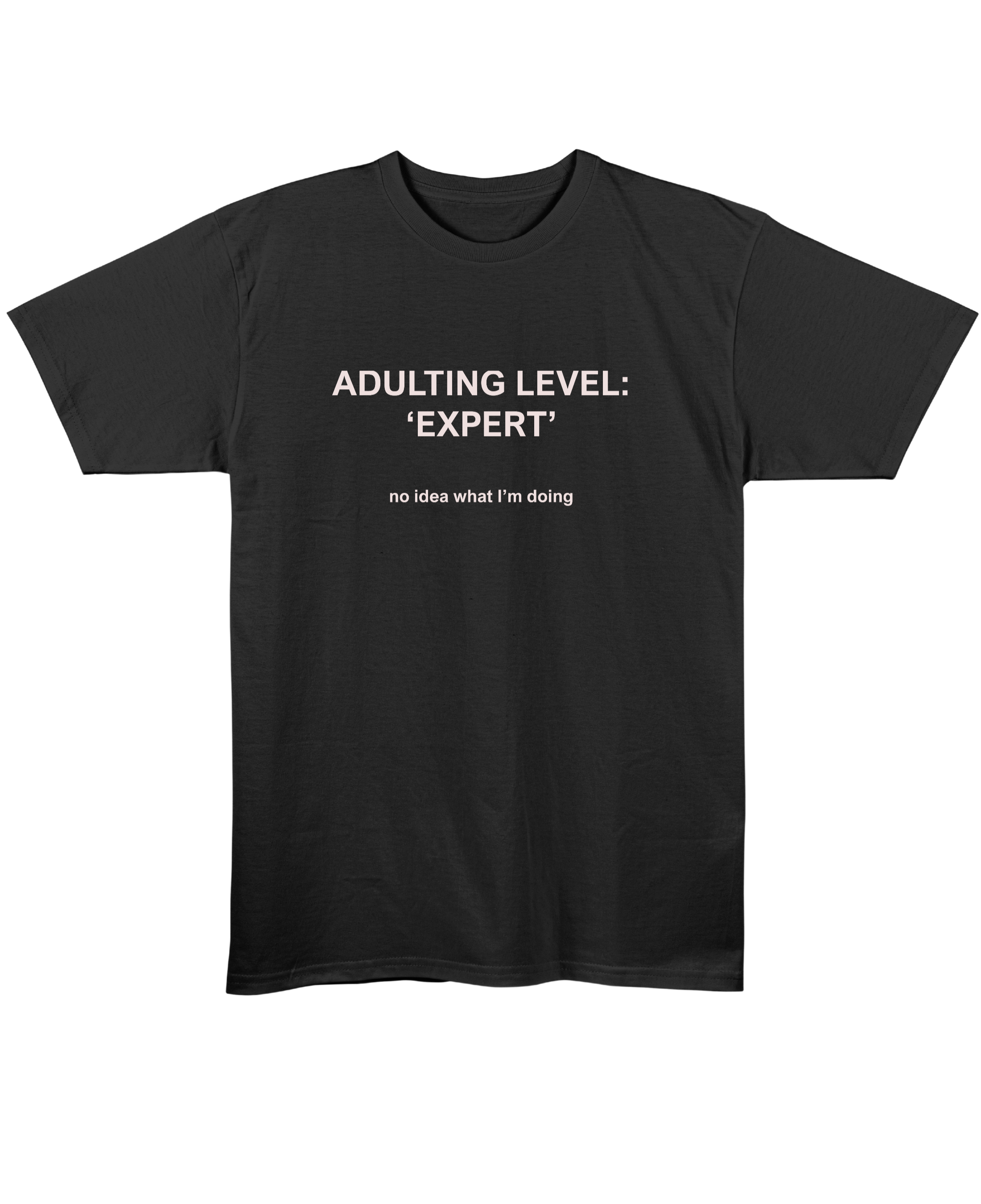 Adulting Level: Expert - Regular Fit Unisex T-Shirt - Black Front