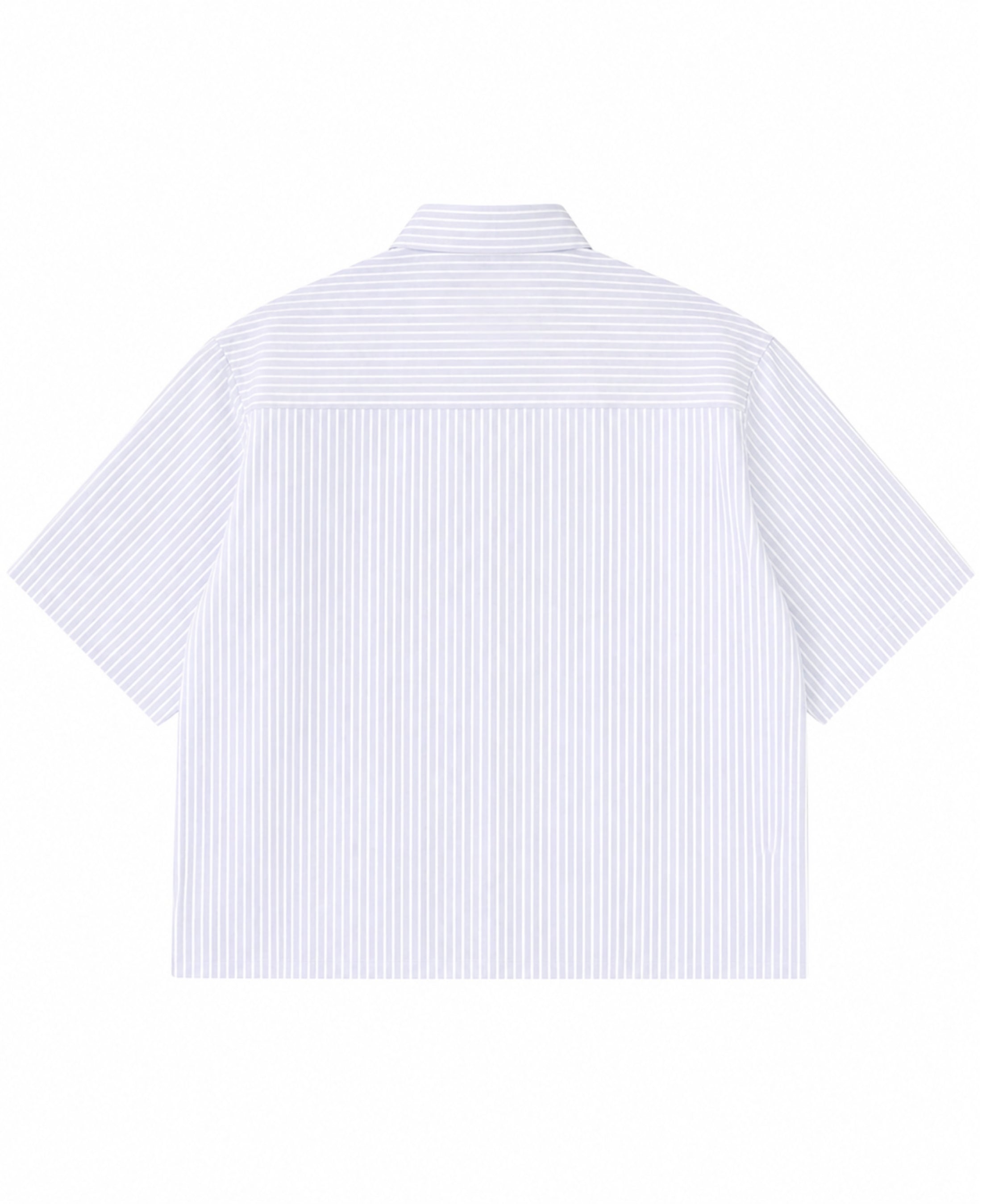 Blue Striped Oxford Boxy Shirt Back Design